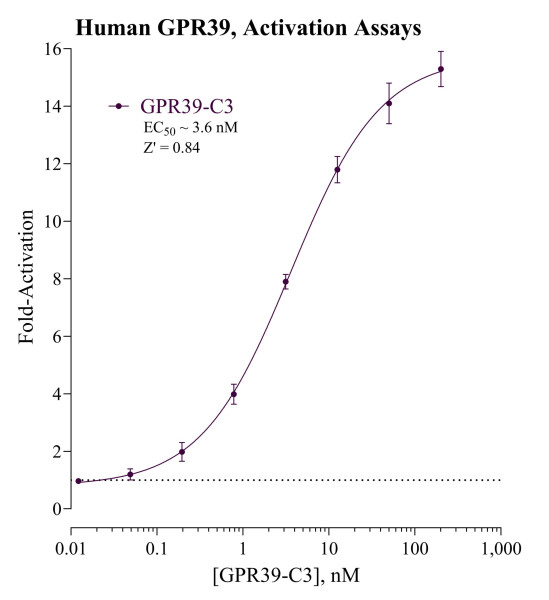 GPR39 Inhibition Reporter Assay System (human)