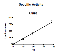 PARP6, active human recombinant protein