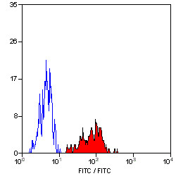 Anti-HLA A2 (FITC), clone BB7.2