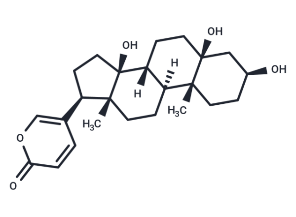 Telocinobufagin