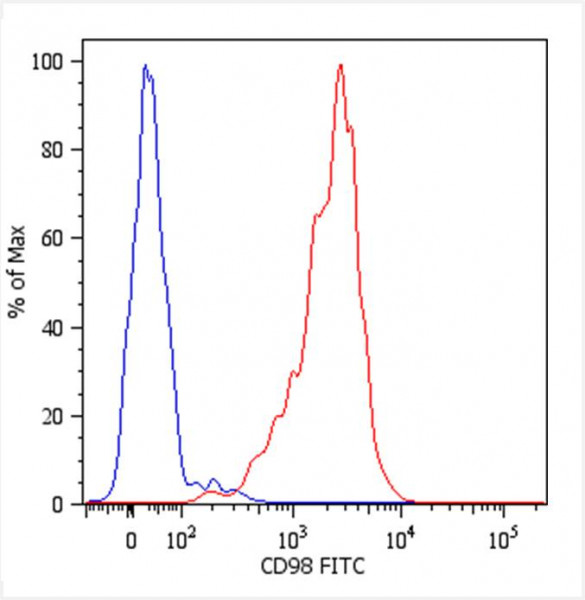 Anti-CD98, clone MEM-108 (FITC)