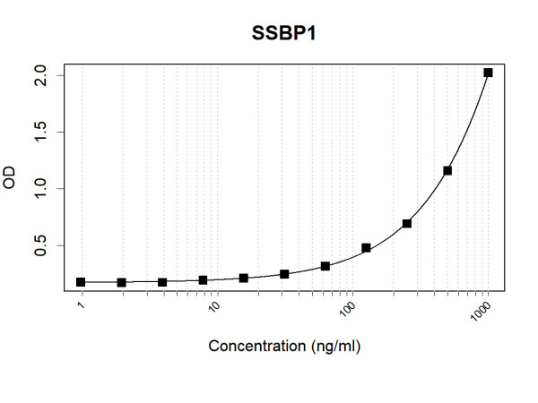Anti-Human SSBP1 Antibody Pair