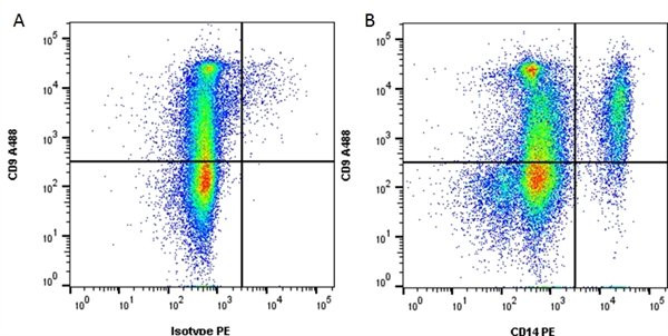 Anti-CD14 (RPE), clone TÜK4