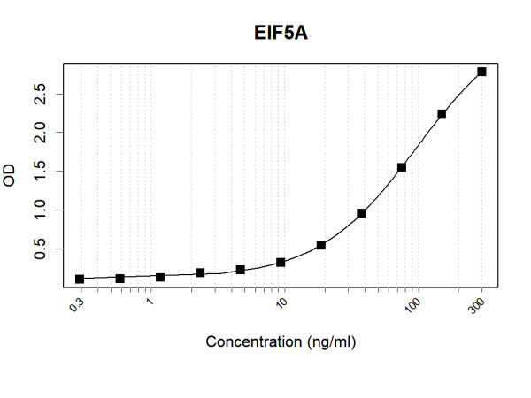 EIF5A (human) Antibody Pair
