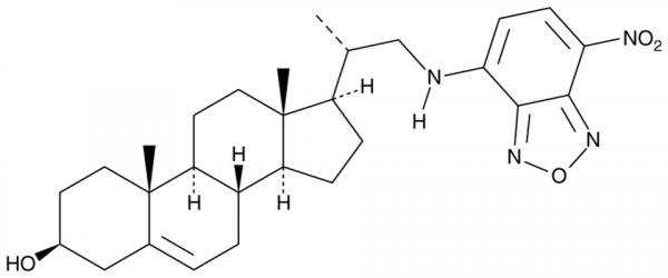 22-NBD Cholesterol