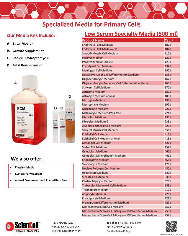Specialized Media for Primary Cells