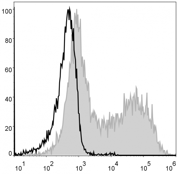 Anti-I-A/I-E (mouse) (PE Conjugated), clone M5/114