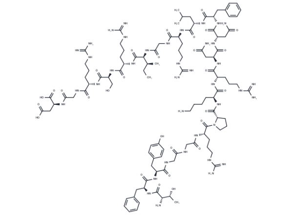 IETP2