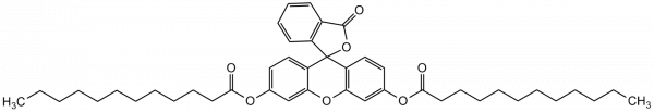 Fluorescein dilaurate