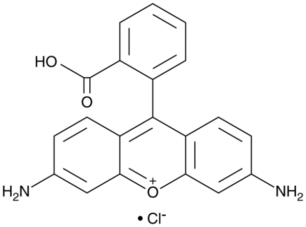 Rhodamine 110 (chloride)