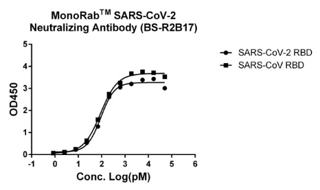 MonoRab(TM) SARS-CoV-2 Neutralizing Antibody (BS-R2B17), mAb, Rabbit
