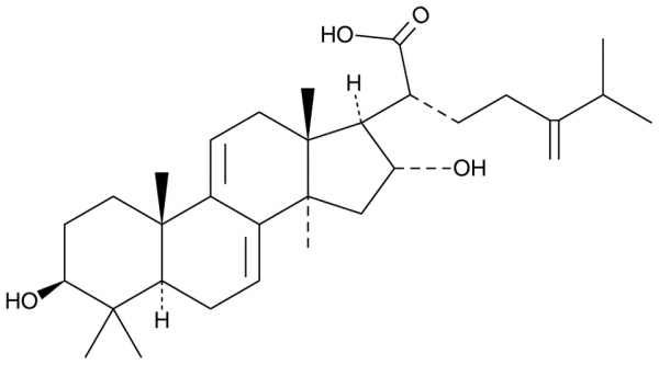 Dehydrotumulosic Acid