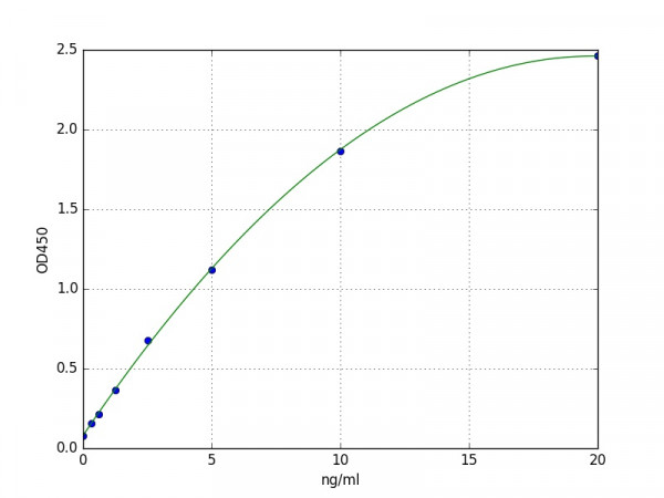 Human GARS / Glycyl tRNA Synthetase GARS protein ELISA Kit
