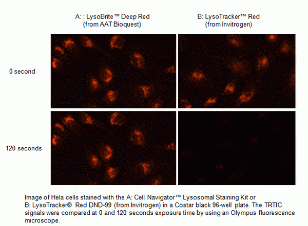 LysoBrite(TM) Deep Red