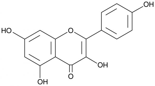 Kaempferol