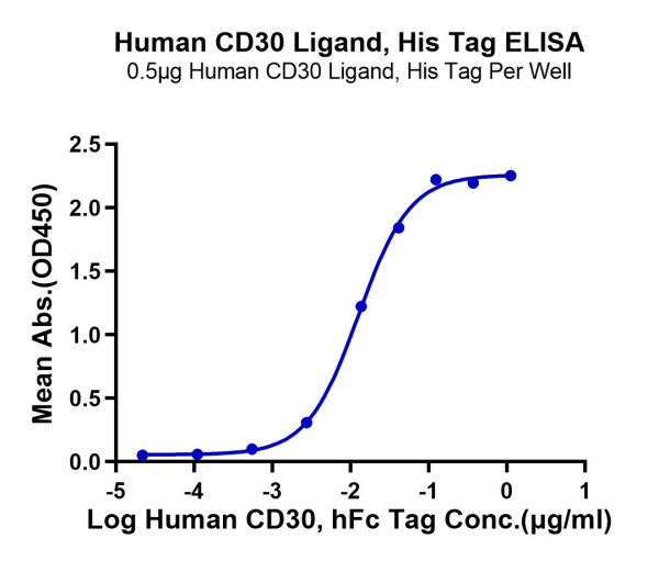 Human CD30 Ligand/TNFSF8 Protein