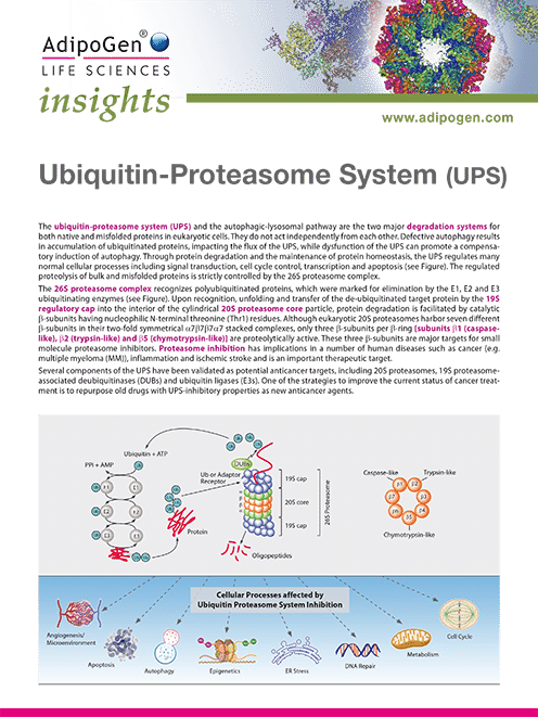 Ubiquitin-Proteasome System