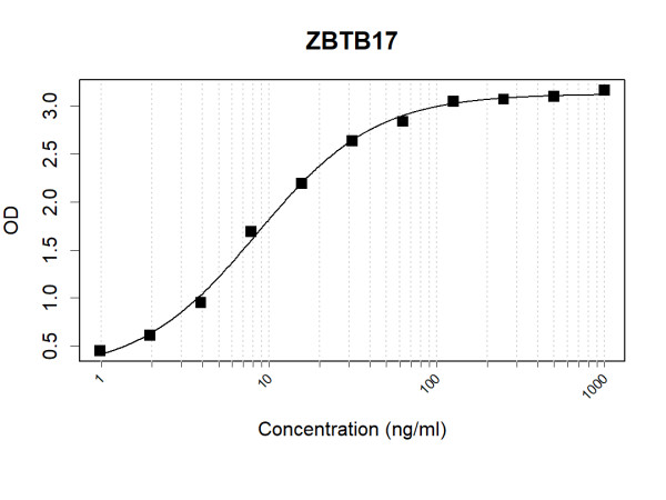Anti-Human ZBTB17 Antibody Pair