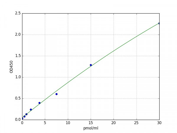 Human LOXL3 / Lysyl Oxidase Homolog 3 ELISA Kit