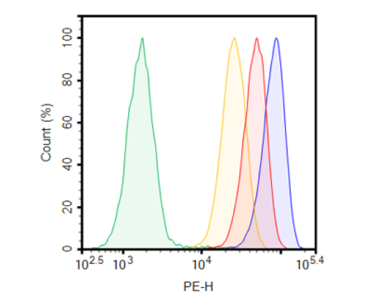 NKp46 CHO Cell Line (Medium Expression)