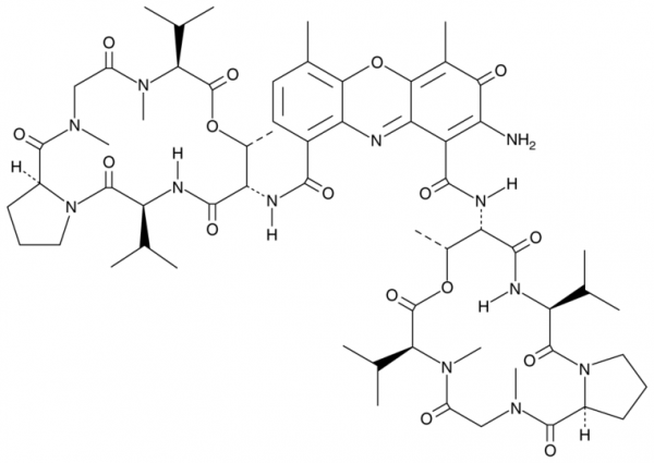 Actinomycin D