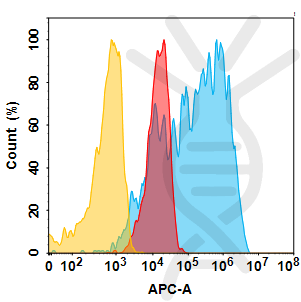 Anti-5T4 (H8 biosimilar) mAb