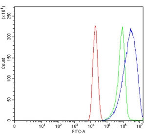 Anti-EPRS1 / Proline--tRNA ligase