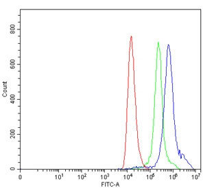 Anti-TAL1 / T-cell acute lymphocytic leukemia protein 1