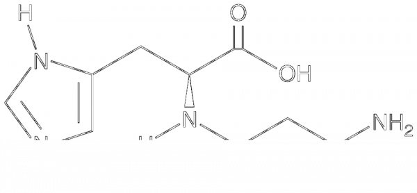 L-Carnosine