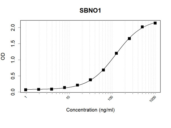 Anti-Human SBNO1 Antibody Pair