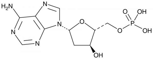 2&#039;-Deoxyadenosine-5&#039;-monophosphate (hydrate)