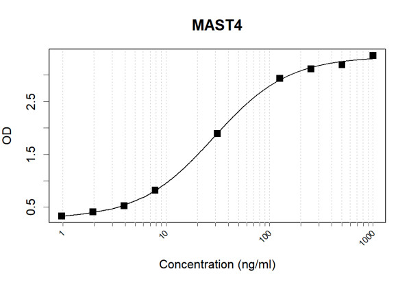 Anti-Human MAST4 Antibody Pair
