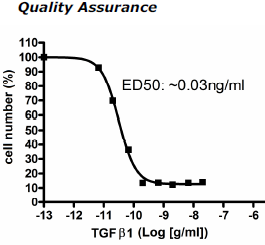 TGFbeta1, active human recombinant (rHuTGFbeta1)