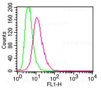 Anti-h/m CD11b (Clone: M1/70) FITC conjugated