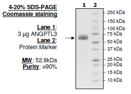 Angiopoietin-like 3, FLAG-tag