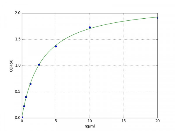 Human IgG receptor FcRn large subunit p51 / FCGRT ELISA Kit