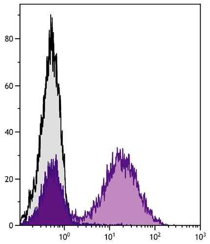 Anti-CD11b (APC/Cy7), clone 3A33