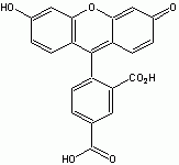 5-FAM (5-Carboxyfluorescein) *Validated for labeling peptides*