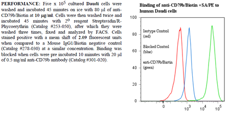 Anti-CD79b (human), clone SN8, Biotin conjugated