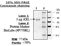 Axl, active human recombinant protein