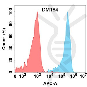 Anti-KLRG1 antibody(DM184), Rabbit mAb