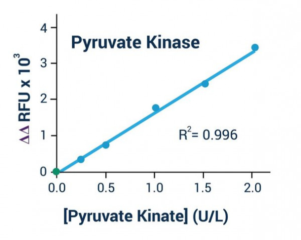 Pyruvate Kinase Activity Assay Kit