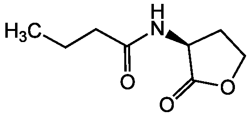 N-Butanoyl-L-homoserine lactone