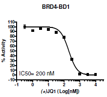 BRD4 (BD1) Inhibitor Screening Assay Kit