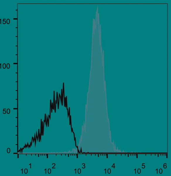 Anti-CD48 (mouse), clone HM48-1, APC-conjugated