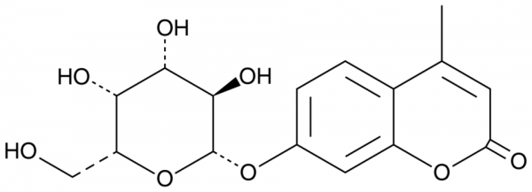 4-Methylumbelliferyl-beta-D-Galactoside