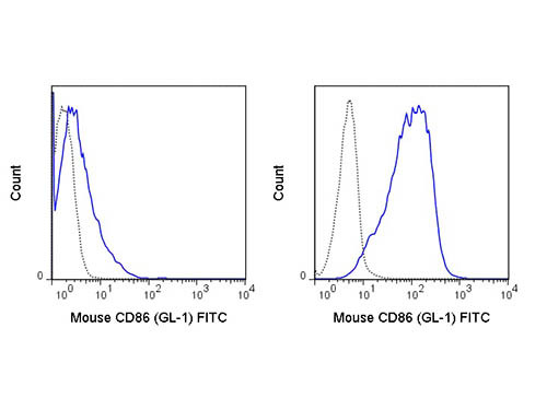 Anti-CD86 Fluorescein Conjugated, clone GL-1