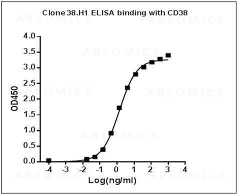 Anti-Mouse Monoclonal Antibody to Human CD38 (Clone: 38.H1)