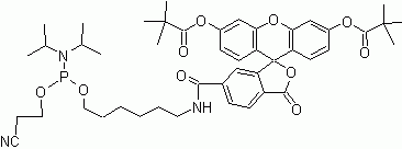 6-FAM phosphoramidite (5&#039;-Fluorescein phosphoramidite) (10 x 100 µmol)
