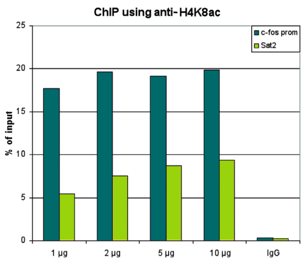 Anti-H4K8ac